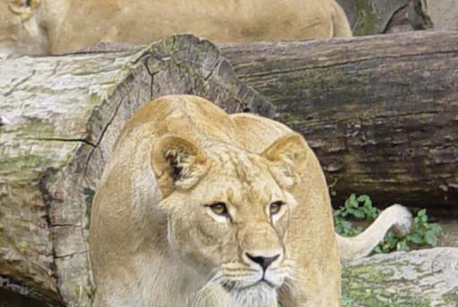 Click to see next picture
